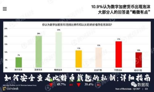 如何安全查看比特币钱包的私钥:详细指南