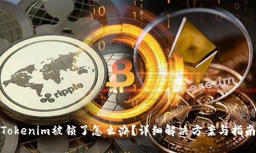 Tokenim被锁了怎么办?详细解决方案与指南