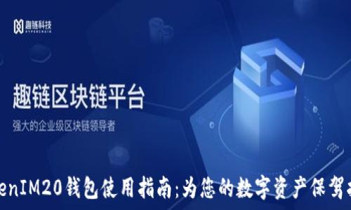 TokenIM20钱包使用指南:为您的数字资产保驾护航