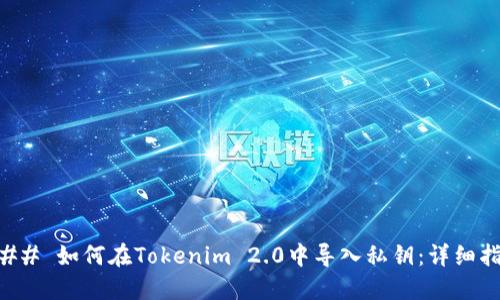### 如何在Tokenim 2.0中导入私钥:详细指南