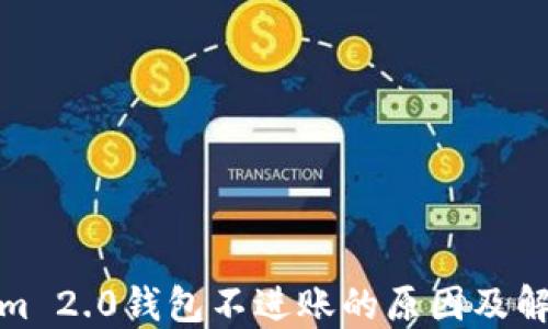 Tokenim 2.0钱包不进账的原因及解决方案