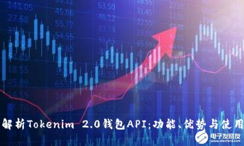 全面解析Tokenim 2.0钱包API：功能、优势与使用指南