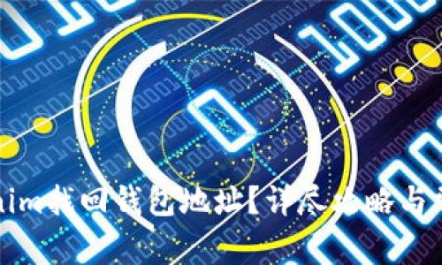 如何在Tokenim找回钱包地址?详尽攻略与常见问题解答