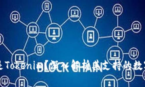 什么是Tokenim?深入解析其支持的数字货币