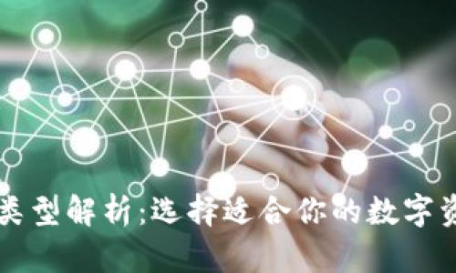 区块链钱包类型解析:选择适合你的数字资产管理工具