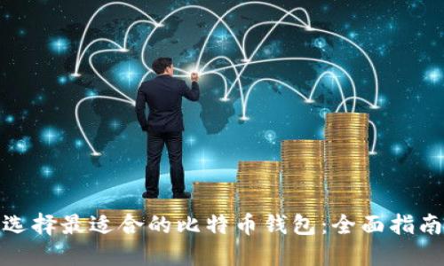 选择最适合的比特币钱包:全面指南