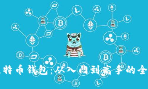 精通比特币钱包:从入门到高手的全面指南
