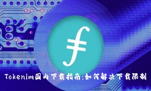 Tokenim国内下载指南:如何解决下载限制