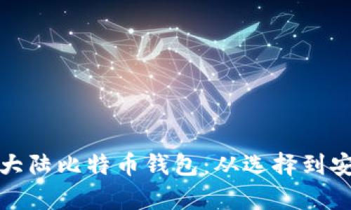 全方位解析大陆比特币钱包:从选择到安全使用技巧