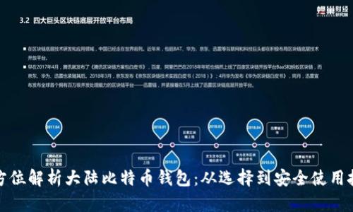 全方位解析大陆比特币钱包:从选择到安全使用技巧