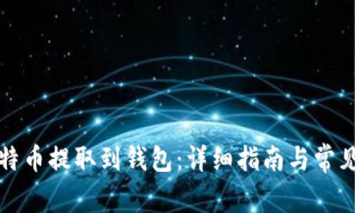 如何将比特币提取到钱包:详细指南与常见问题解答