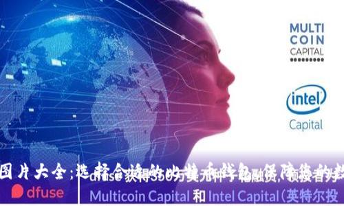 比特币钱包图片大全:选择合适的比特币钱包,保障您的数字资产安全