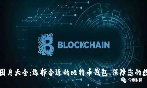 比特币钱包图片大全:选择合适的比特币钱包,保障您的数字资产安全