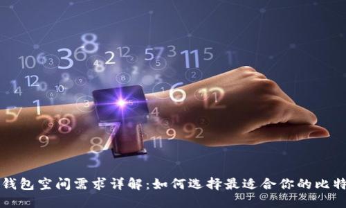 比特币钱包空间需求详解:如何选择最适合你的比特币钱包