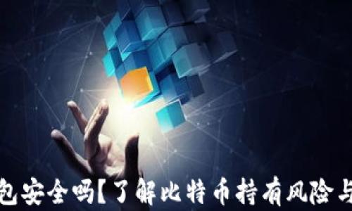 比特币钱包安全吗?了解比特币持有风险与防护措施
