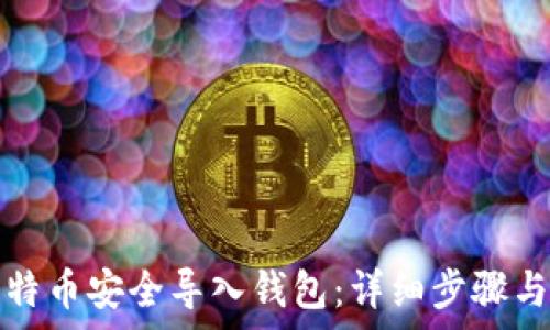 如何将比特币安全导入钱包:详细步骤与注意事项