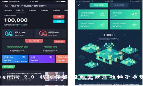 Tokenim 2.0 钱包详解:轻松管理您的柚子币资产