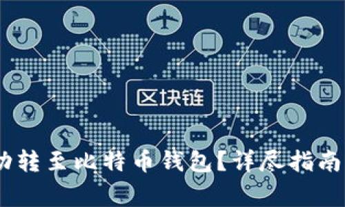 如何将USDT成功转至比特币钱包?详尽指南与常见问题解析
