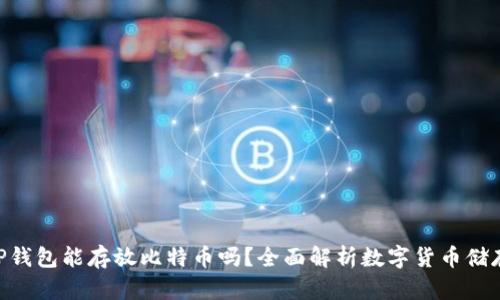 DC/EP钱包能存放比特币吗?全面解析数字货币储存问题