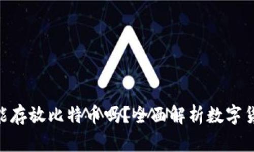 DC/EP钱包能存放比特币吗?全面解析数字货币储存问题