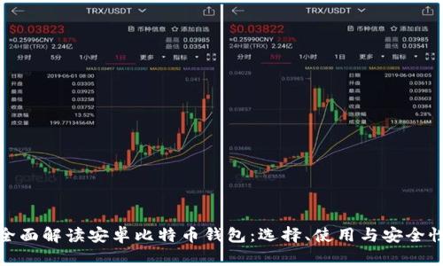 全面解读安卓比特币钱包:选择、使用与安全性