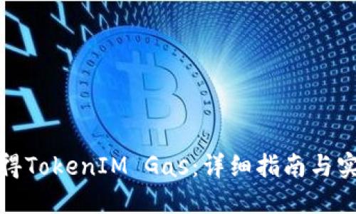 如何获得TokenIM Gas:详细指南与实用技巧