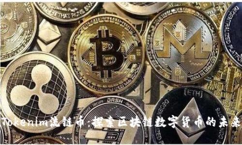 Tokenim流链币:探索区块链数字货币的未来