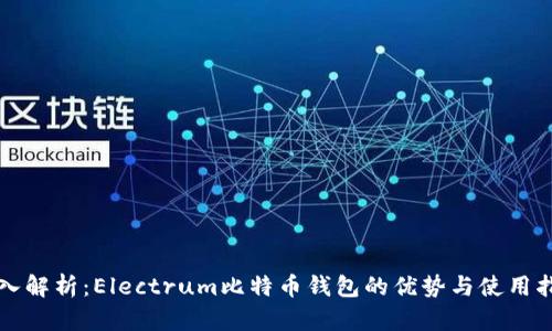深入解析:Electrum比特币钱包的优势与使用指南