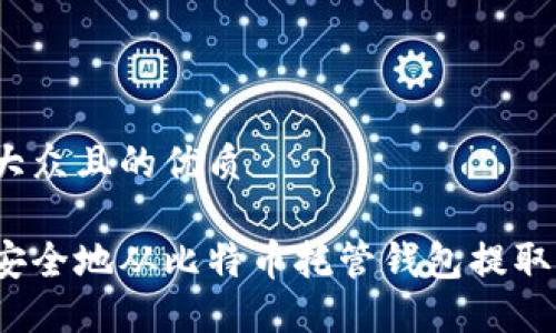 易于大众且的优质
如何安全地从比特币托管钱包提取资金?