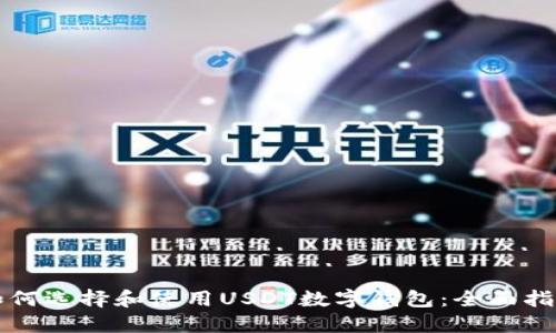 如何选择和使用USDT数字钱包:全面指南