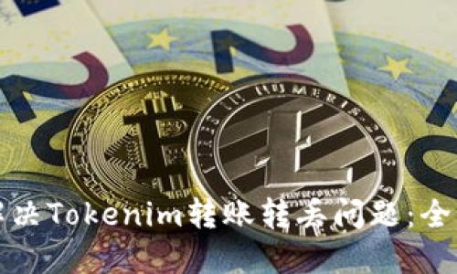 如何解决Tokenim转账转丢问题:全面指南