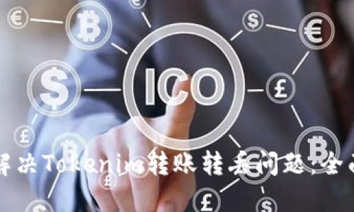 如何解决Tokenim转账转丢问题:全面指南