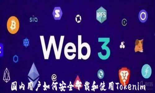 国内用户如何安全下载和使用Tokenim