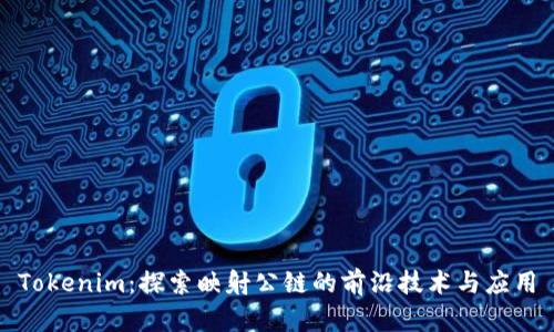 Tokenim:探索映射公链的前沿技术与应用