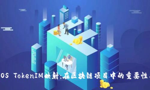 详解EOS TokenIM映射：在区块链项目中的重要性与应用