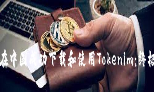 如何在中国成功下载和使用Tokenim:终极指南
