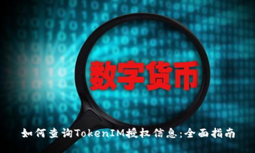 如何查询TokenIM授权信息:全面指南