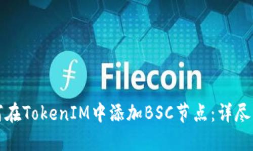 如何在TokenIM中添加BSC节点:详尽指南