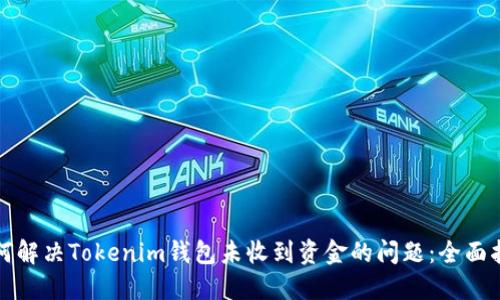 如何解决Tokenim钱包未收到资金的问题:全面指南