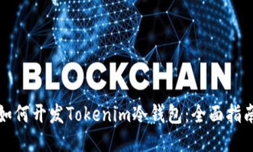 如何开发Tokenim冷钱包:全面指南