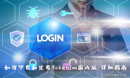如何下载和使用Tokenim国内版:详细指南