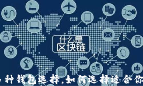 Tokenim中多种钱包选择,如何选择适合你的加密钱包?