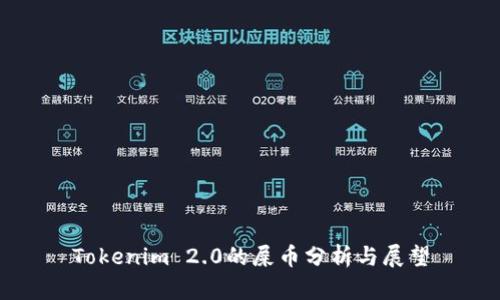 Tokenim 2.0的屎币分析与展望