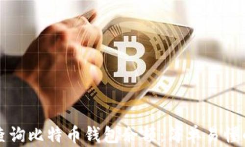 如何查询比特币钱包余额:简单易懂的指南