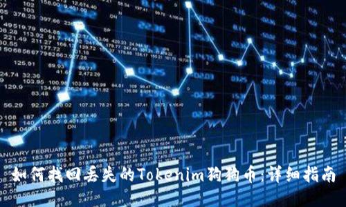 如何找回丢失的Tokenim狗狗币:详细指南