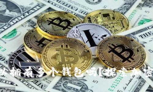 一个Token可以拥有多个钱包吗?探索加密钱包的多样性