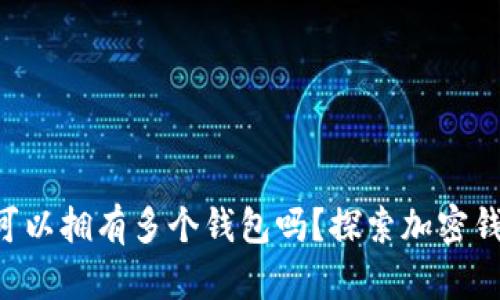 一个Token可以拥有多个钱包吗?探索加密钱包的多样性