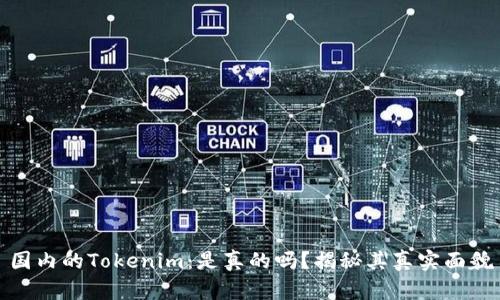 国内的Tokenim:是真的吗?揭秘其真实面貌