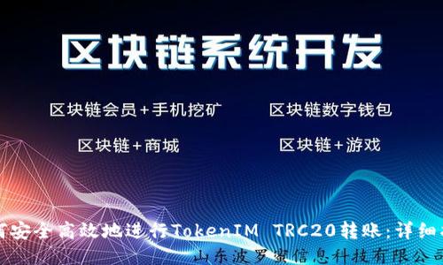 如何安全高效地进行TokenIM TRC20转账:详细指南