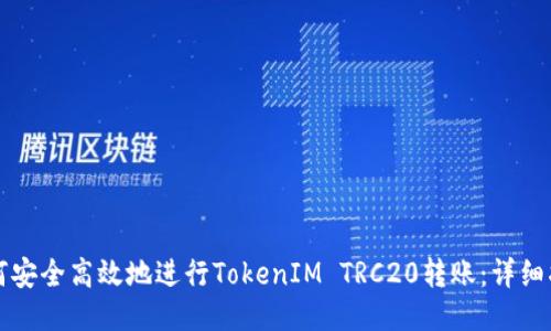 如何安全高效地进行TokenIM TRC20转账:详细指南